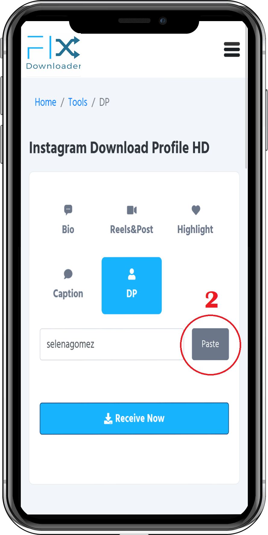 download DP Instagram